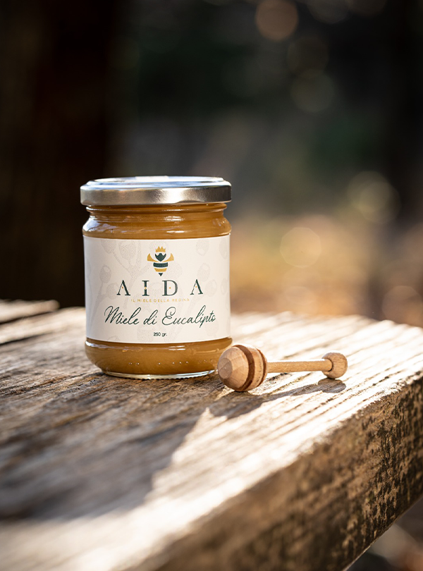 eucalipto-aida